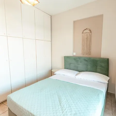 Daire The Krazy Kactus - Kos