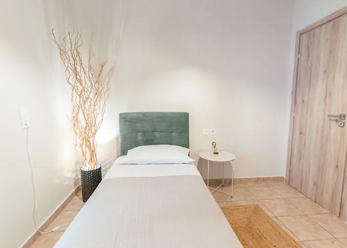 The Krazy Kactus - Kos Ampavris