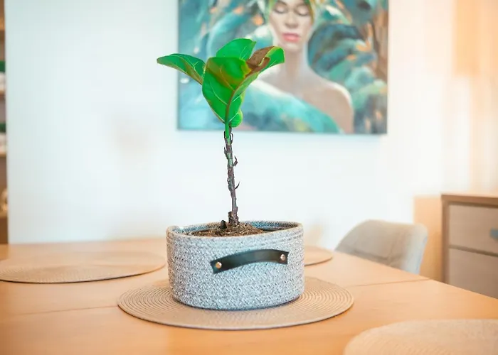 شقة The Krazy Kactus - Kos *