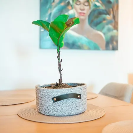 アパート The Krazy Kactus - Kos *